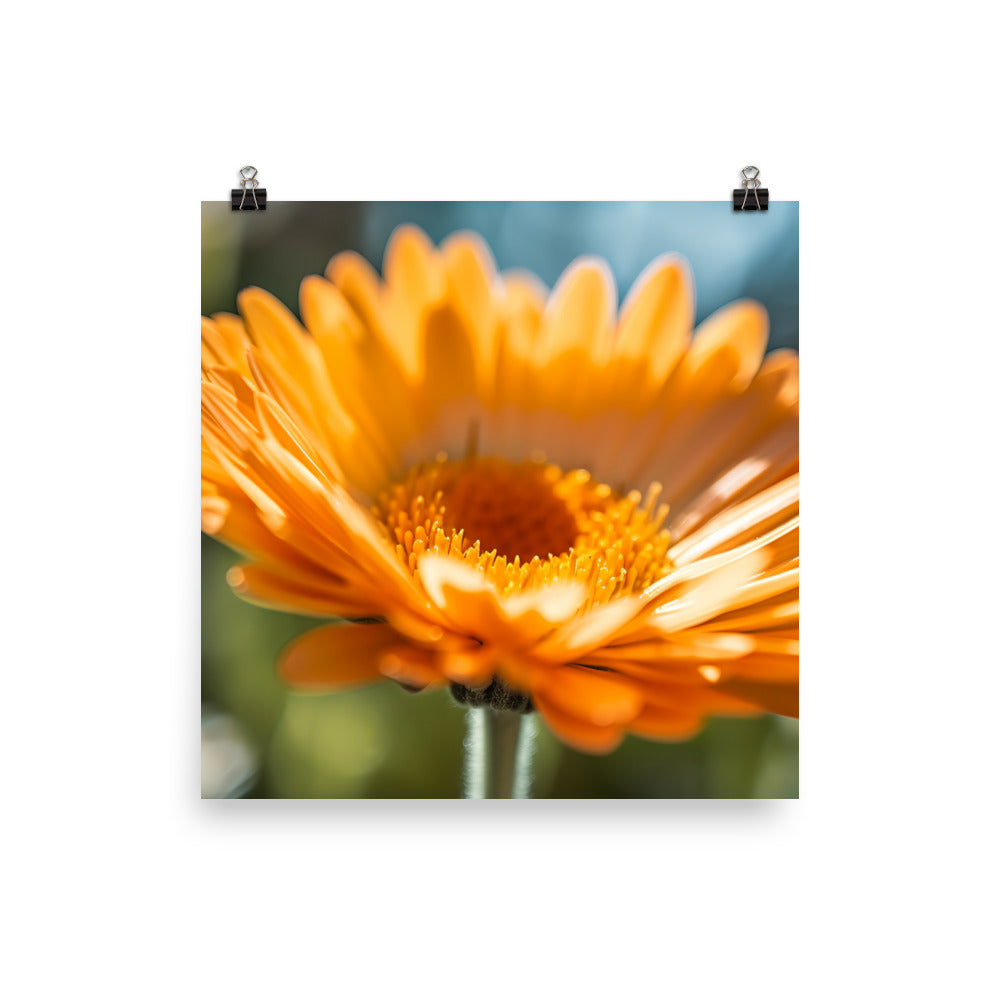 Blossoming Beauty photo paper poster - Posterfy.AI