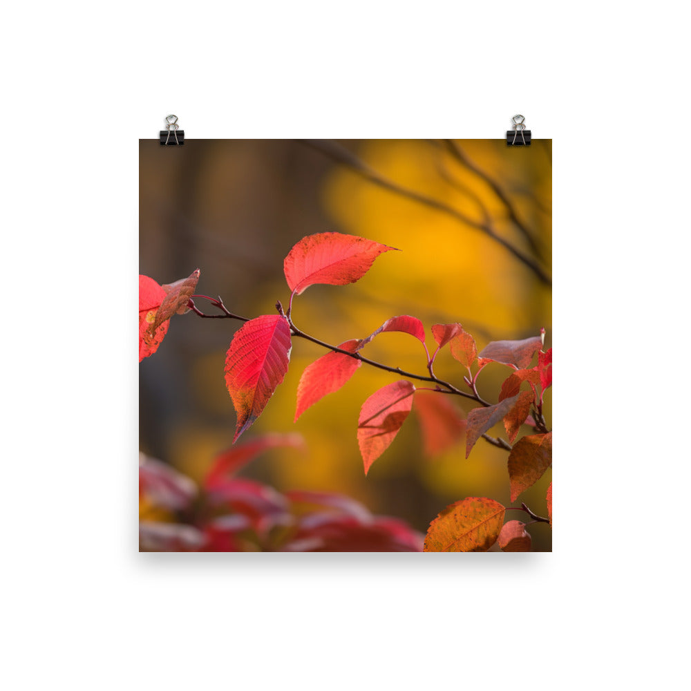 Vibrant Fall Foliage photo paper poster - Posterfy.AI