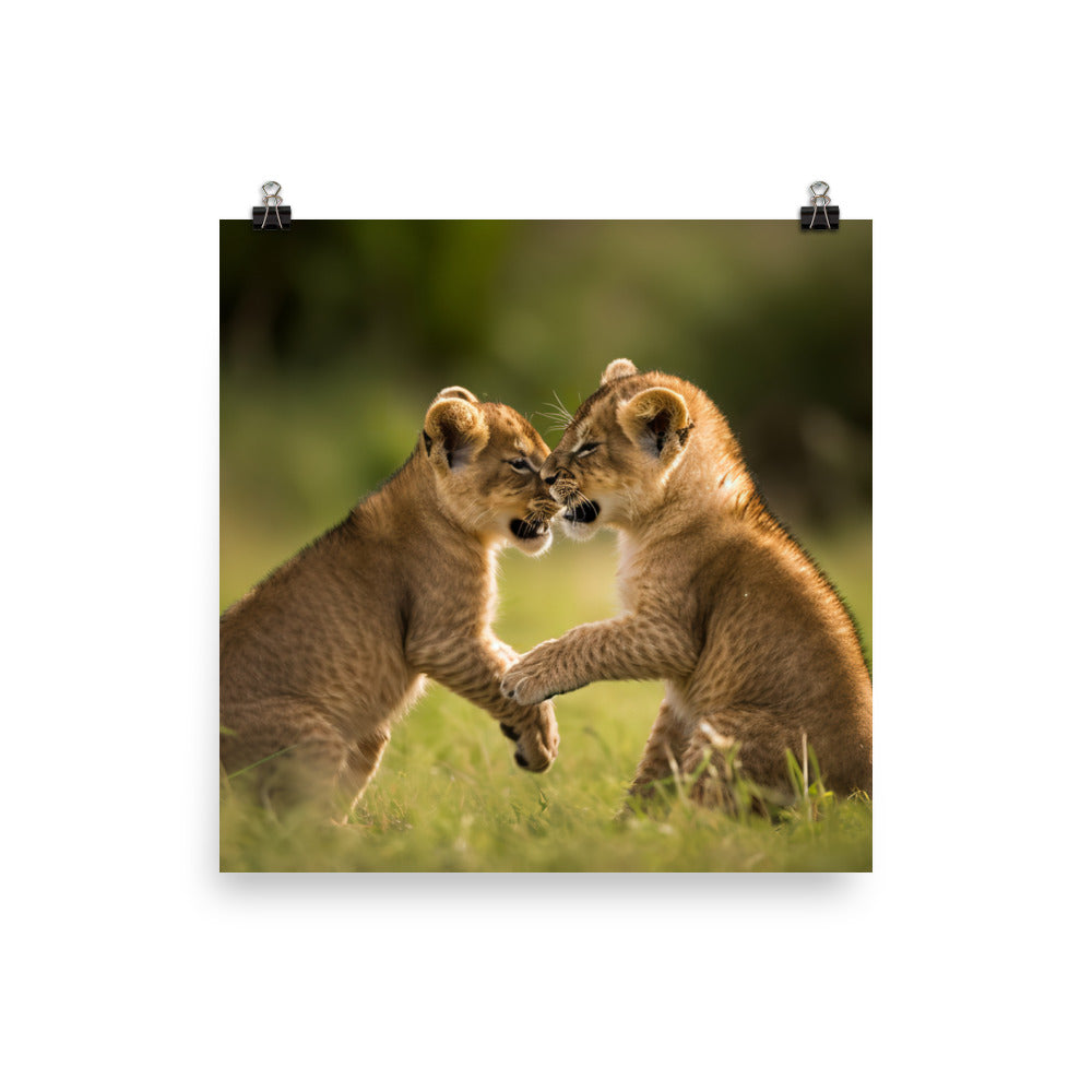 Lion Cubs Playtime photo paper poster - Posterfy.AI