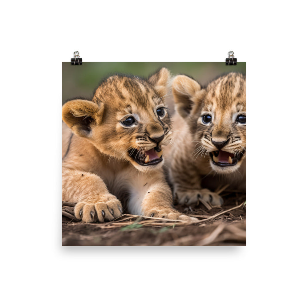 Lion Cubs Playtime photo paper poster - Posterfy.AI