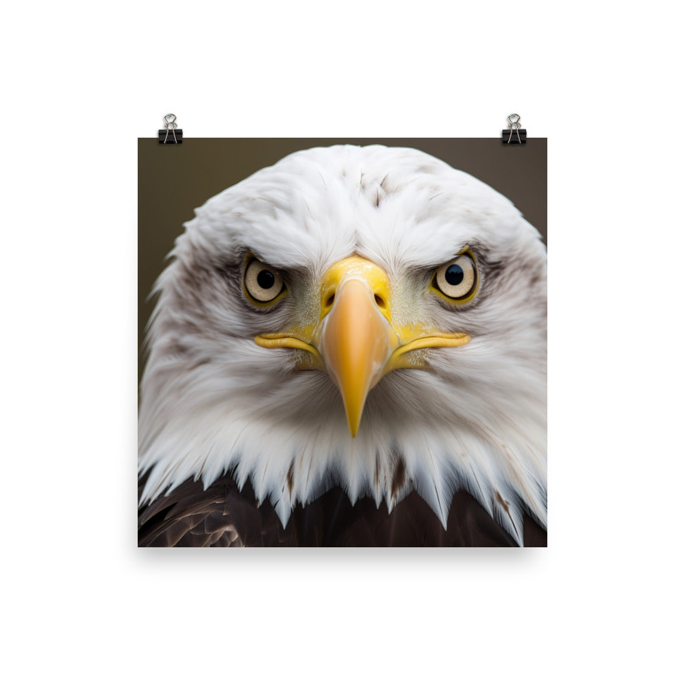 Stunning Close-Up of a Bald Eagles Eye photo paper poster - Posterfy.AI