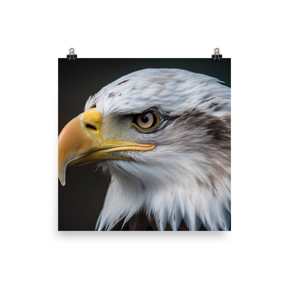 Stunning Close-Up of a Bald Eagles Eye photo paper poster - Posterfy.AI