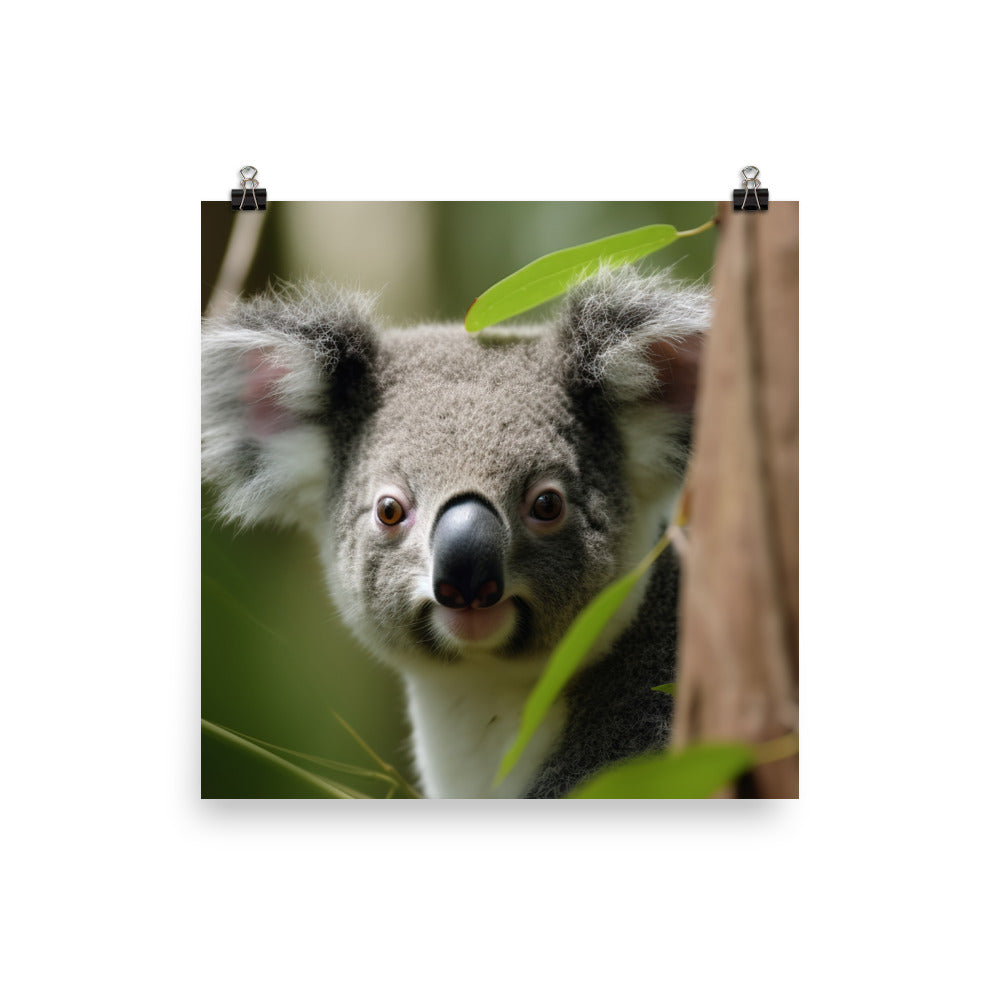 Adorable Koala Cub in the Eucalyptus Forest photo paper poster - Posterfy.AI