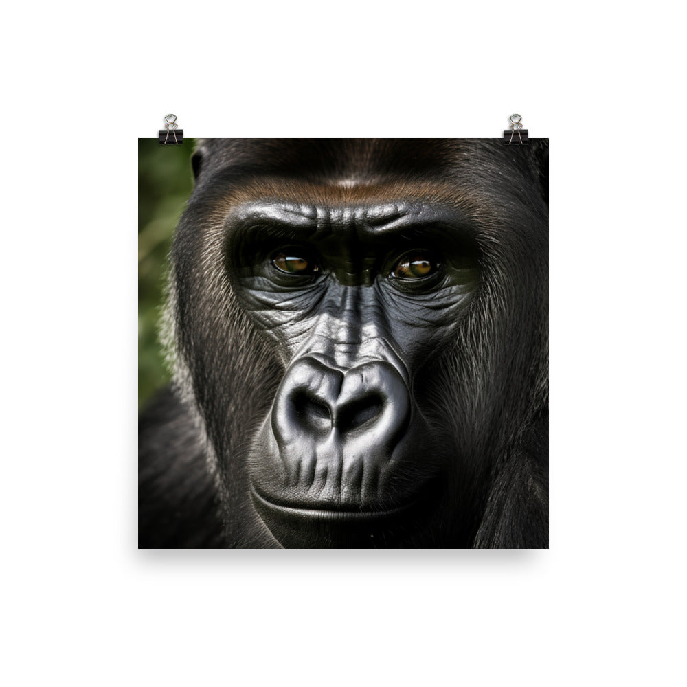 The magnificent face of silverback gorilla photo paper poster - Posterfy.AI