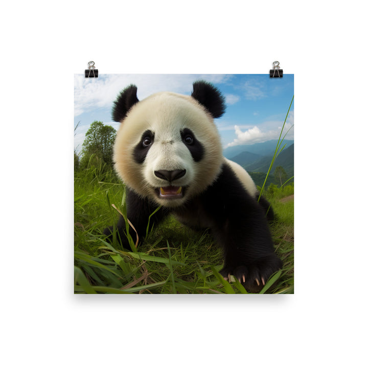 Panda Playtime photo paper poster - Posterfy.AI