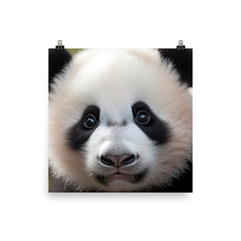 Adorable Panda Cub photo paper poster - Posterfy.AI