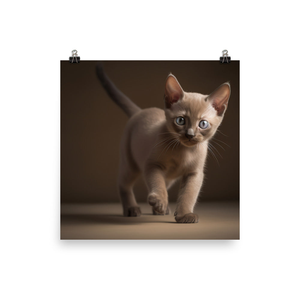 The Playful Burmese Kitten photo paper poster - Posterfy.AI