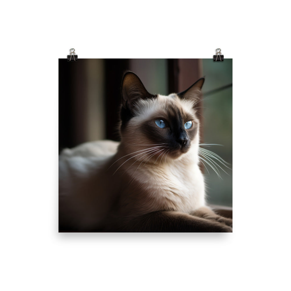 Graceful Balinese Cat Posing on the Window Sill photo paper poster - Posterfy.AI