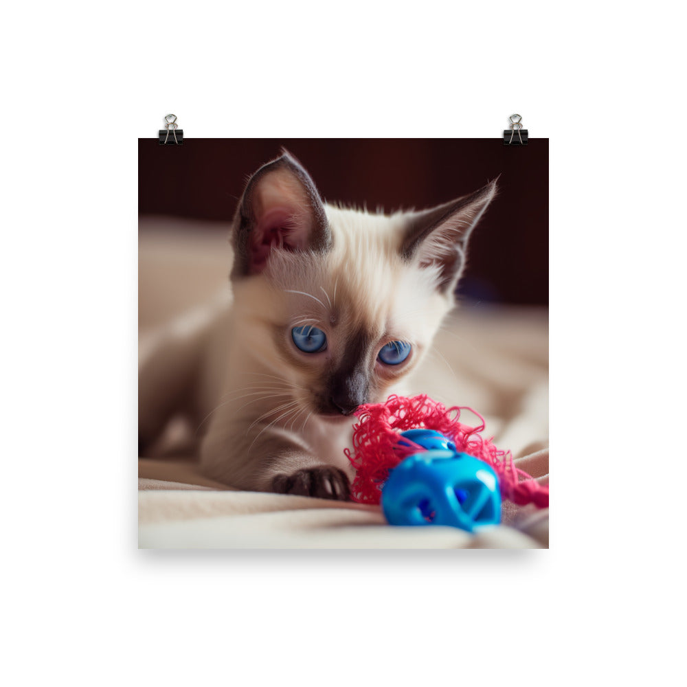 Adorable Balinese Kitten Playing with Toy photo paper poster - Posterfy.AI