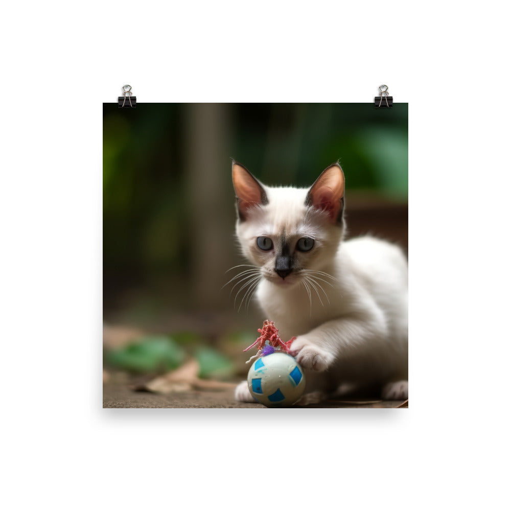 Adorable Balinese Kitten Playing with Toy photo paper poster - Posterfy.AI