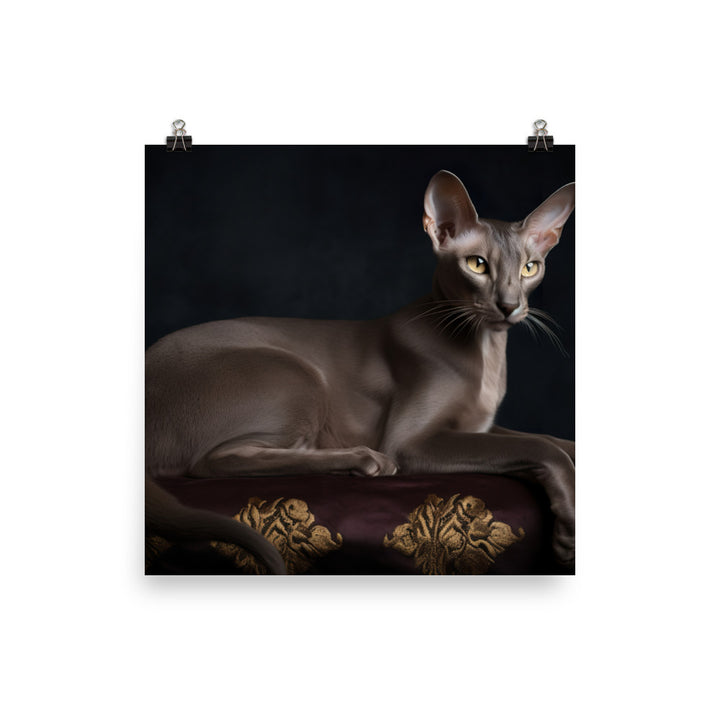 Majestic Oriental Shorthair on Velvet photo paper poster - Posterfy.AI