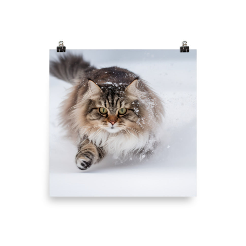Norwegian Forest Cat Playing in the Snow photo paper poster - Posterfy.AI