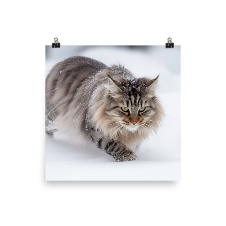 Norwegian Forest Cat Playing in the Snow photo paper poster - Posterfy.AI