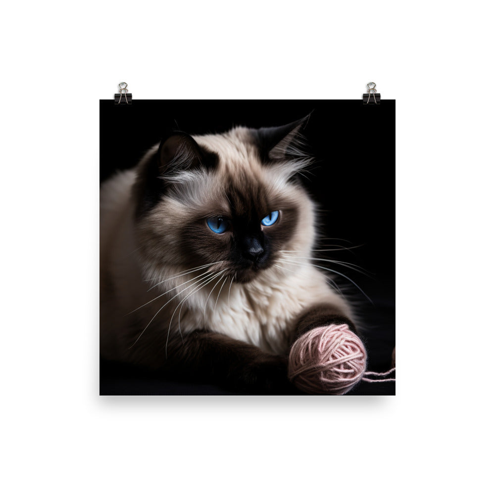 Himalayan cat playing with a ball of yarn photo paper poster - Posterfy.AI