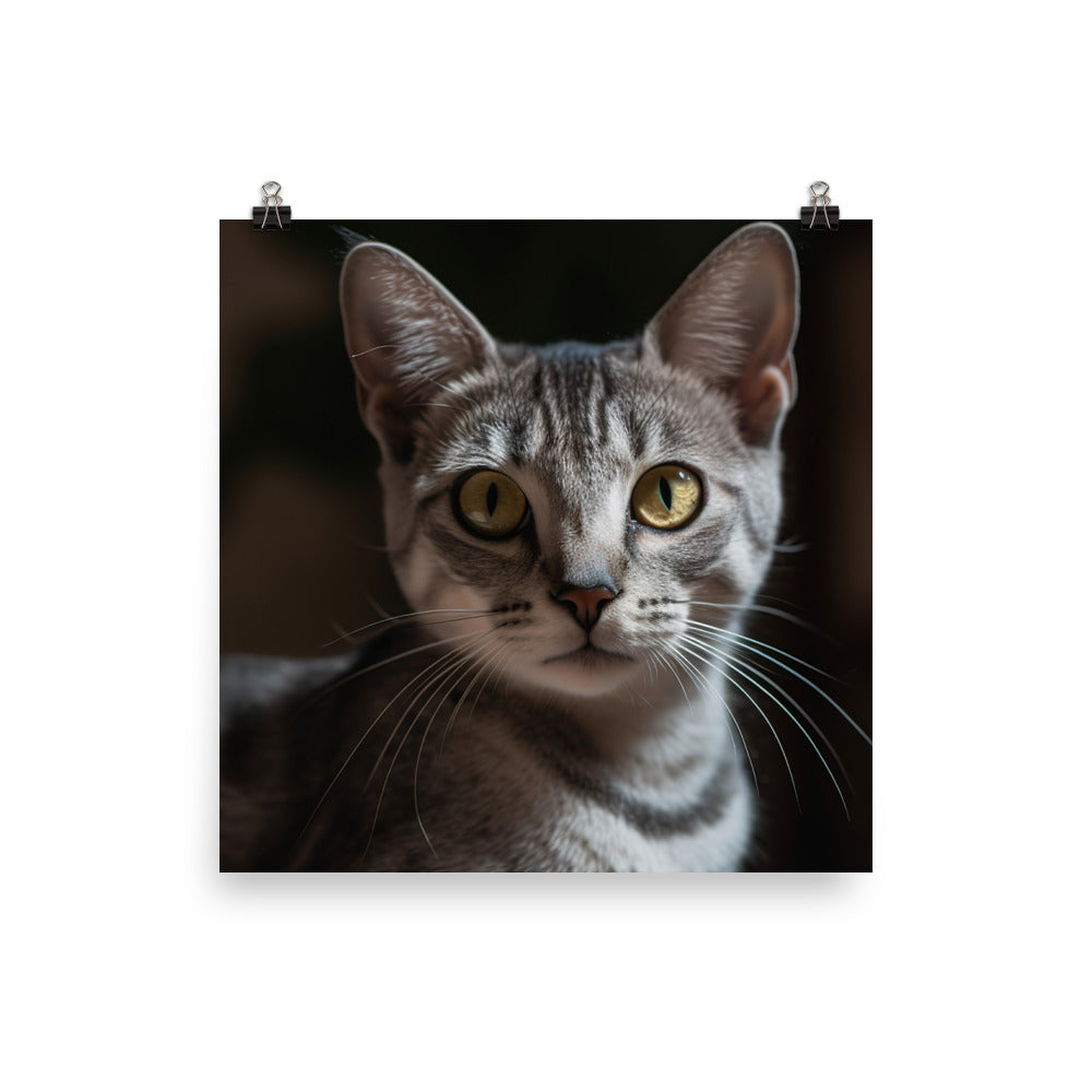 Portrait session with Egyptian Mau kitten photo paper poster - Posterfy.AI