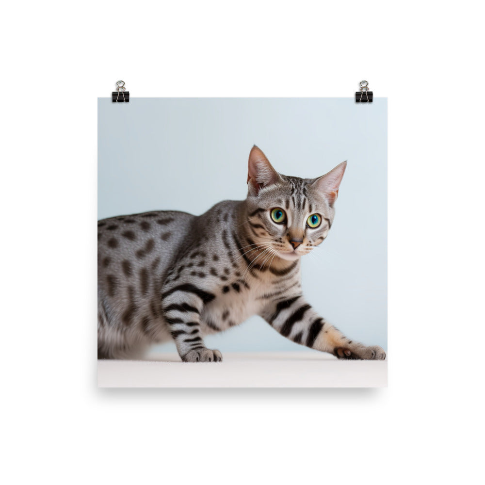 Egyptian Mau playing with toys  photo paper poster - Posterfy.AI