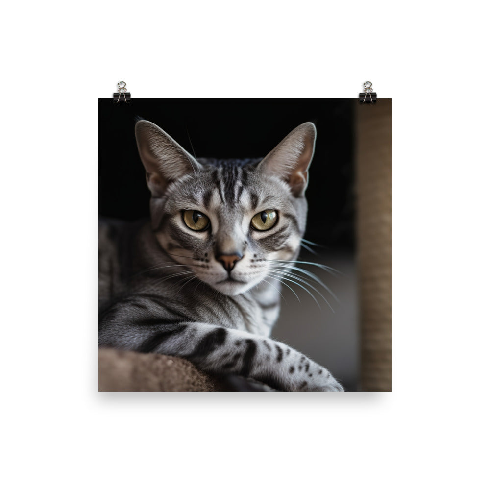 Egyptian Mau cat tree photo paper poster - Posterfy.AI