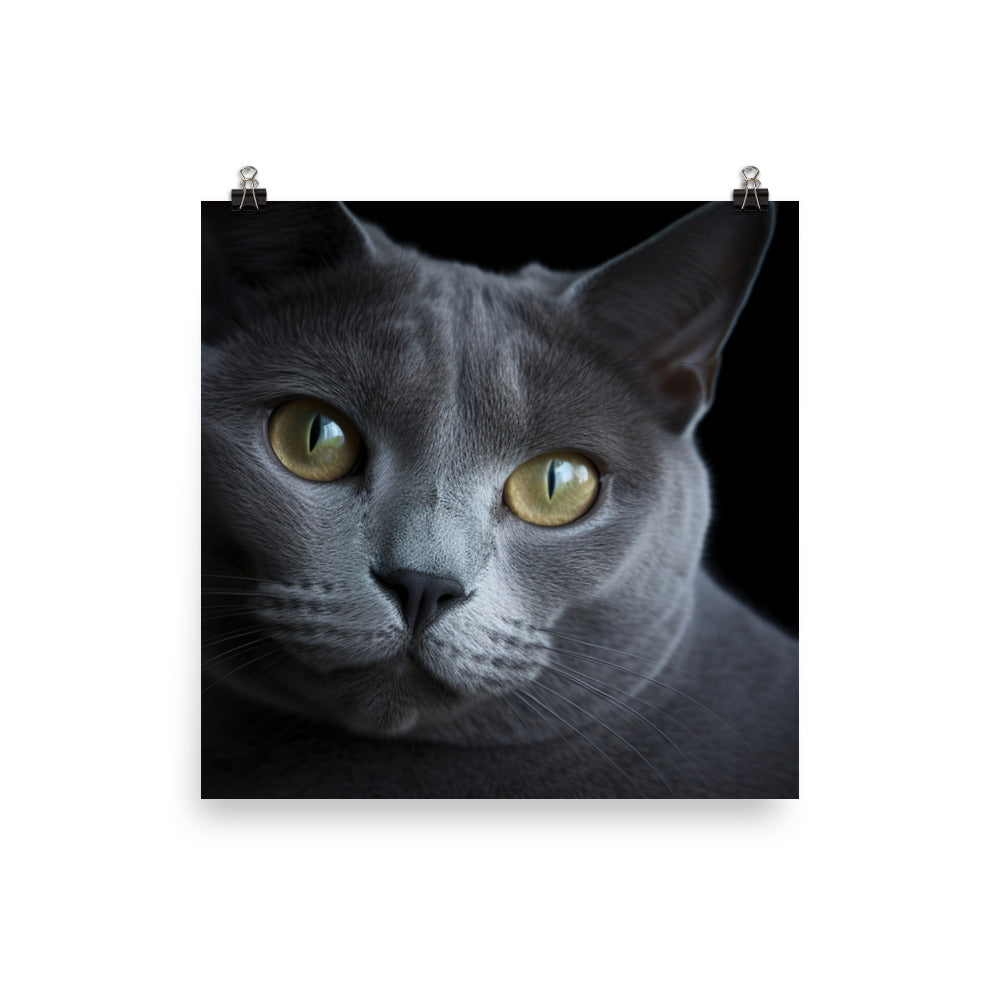 Russian Blue Royalty photo paper poster - Posterfy.AI