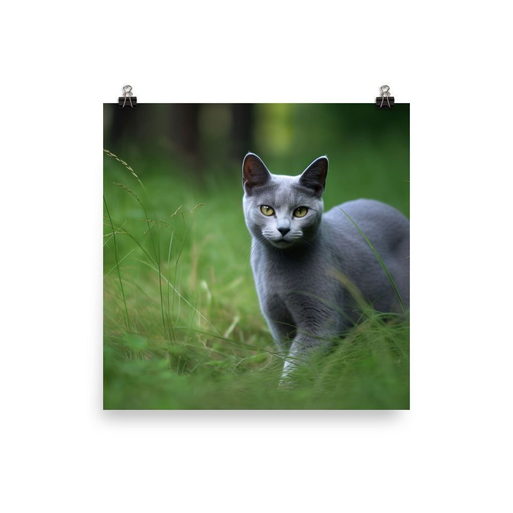 Russian Blue in Natures Playground photo paper poster - Posterfy.AI