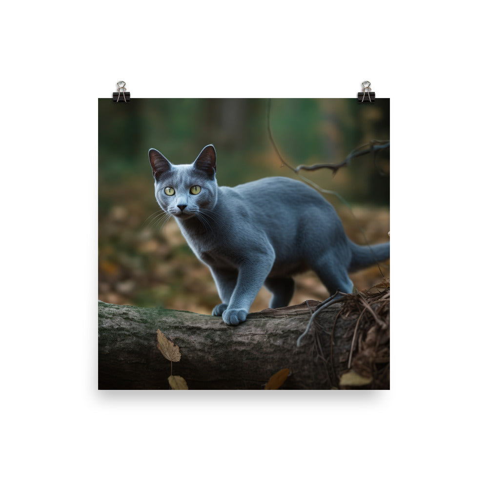 Russian Blue in Natures Playground photo paper poster - Posterfy.AI