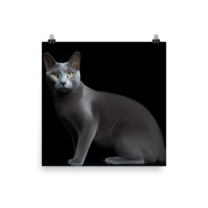 Russian Blue Elegance photo paper poster - Posterfy.AI