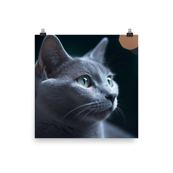 Dreamy Nights with Russian Blue photo paper poster - Posterfy.AI