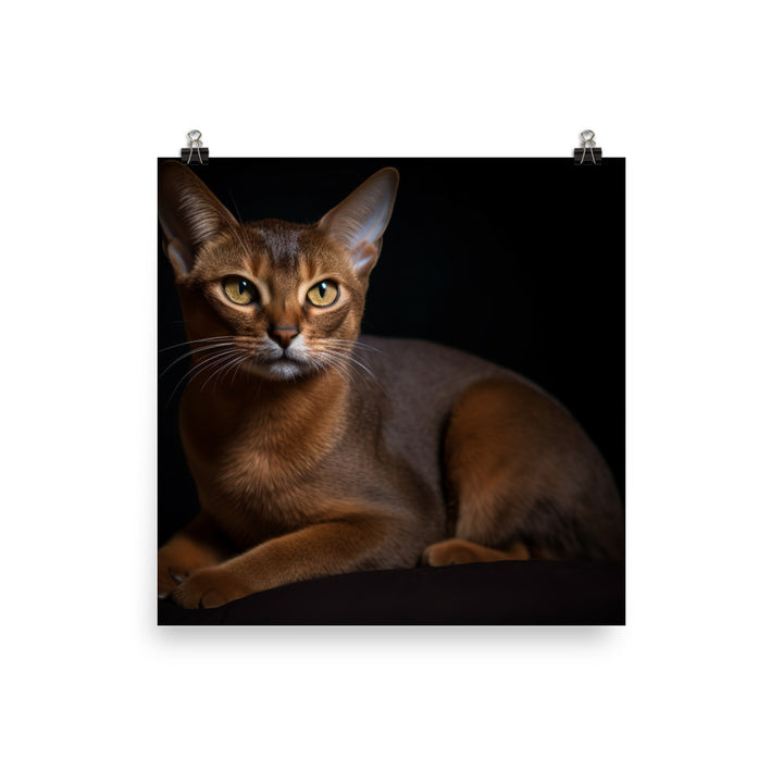 Adorable Abyssinian posing for the camera photo paper poster - Posterfy.AI