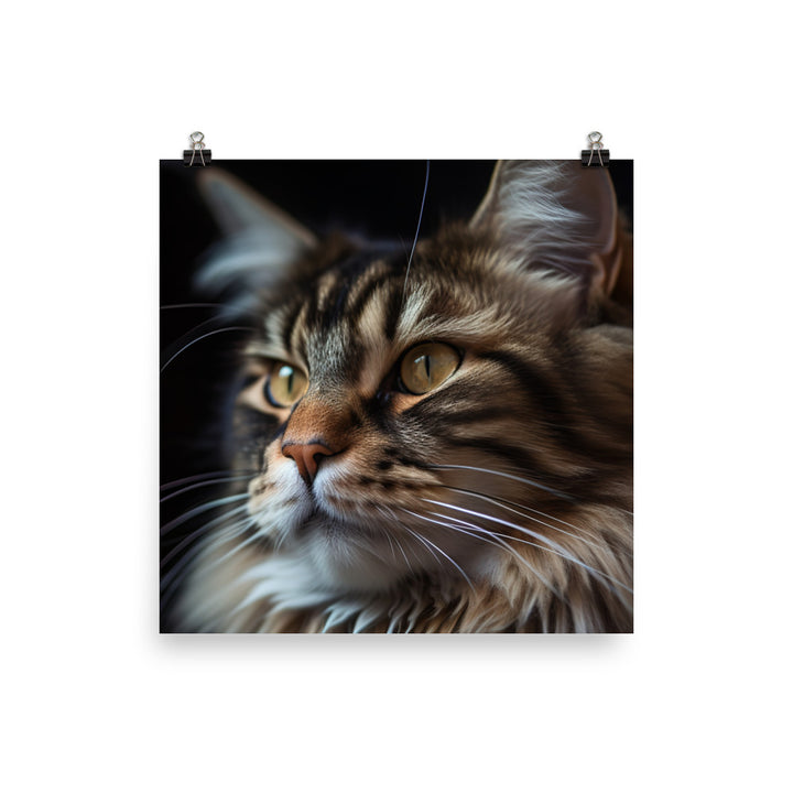 The majestic beauty of a Maine Coon photo paper poster - Posterfy.AI