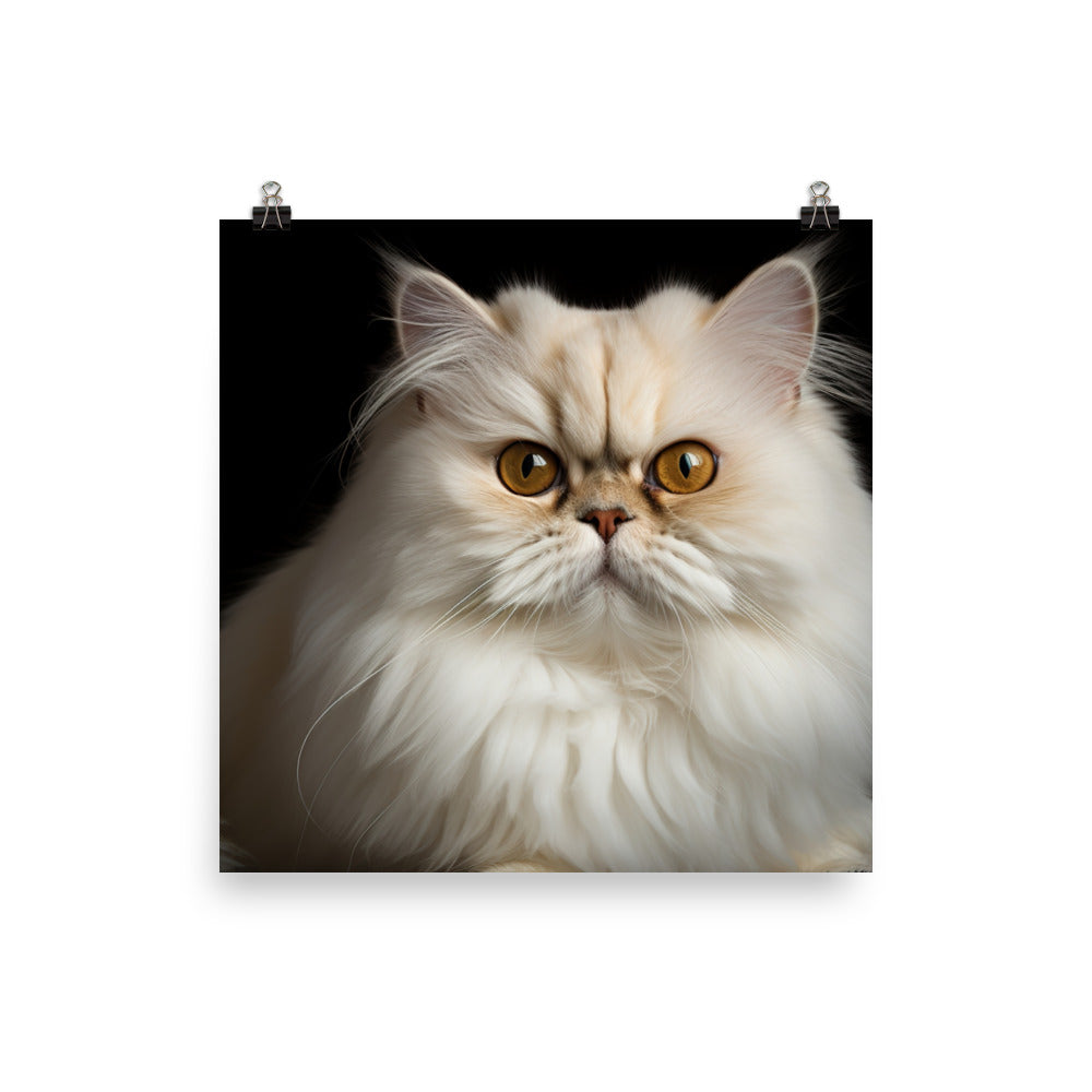 Regal Persian Cat photo paper poster - Posterfy.AI