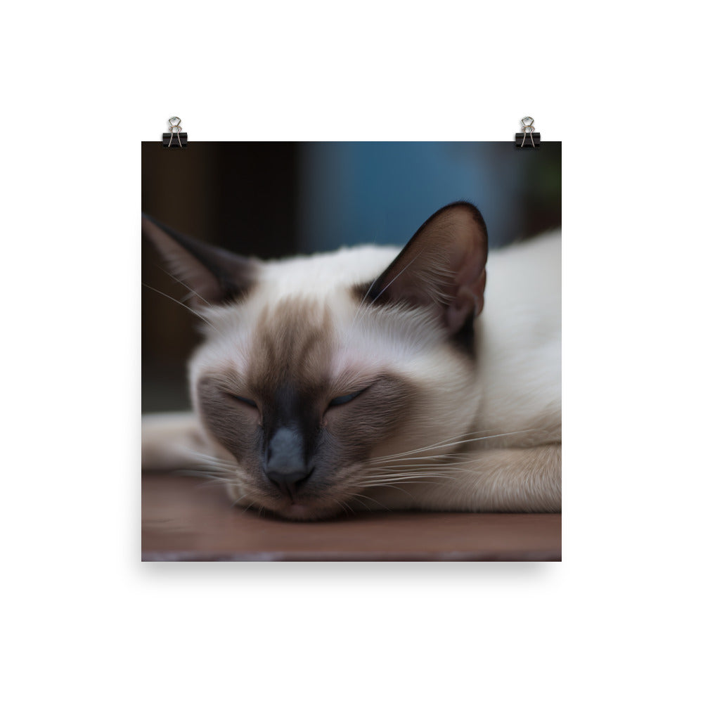 Sleepy Siamese Taking a Nap photo paper poster - Posterfy.AI