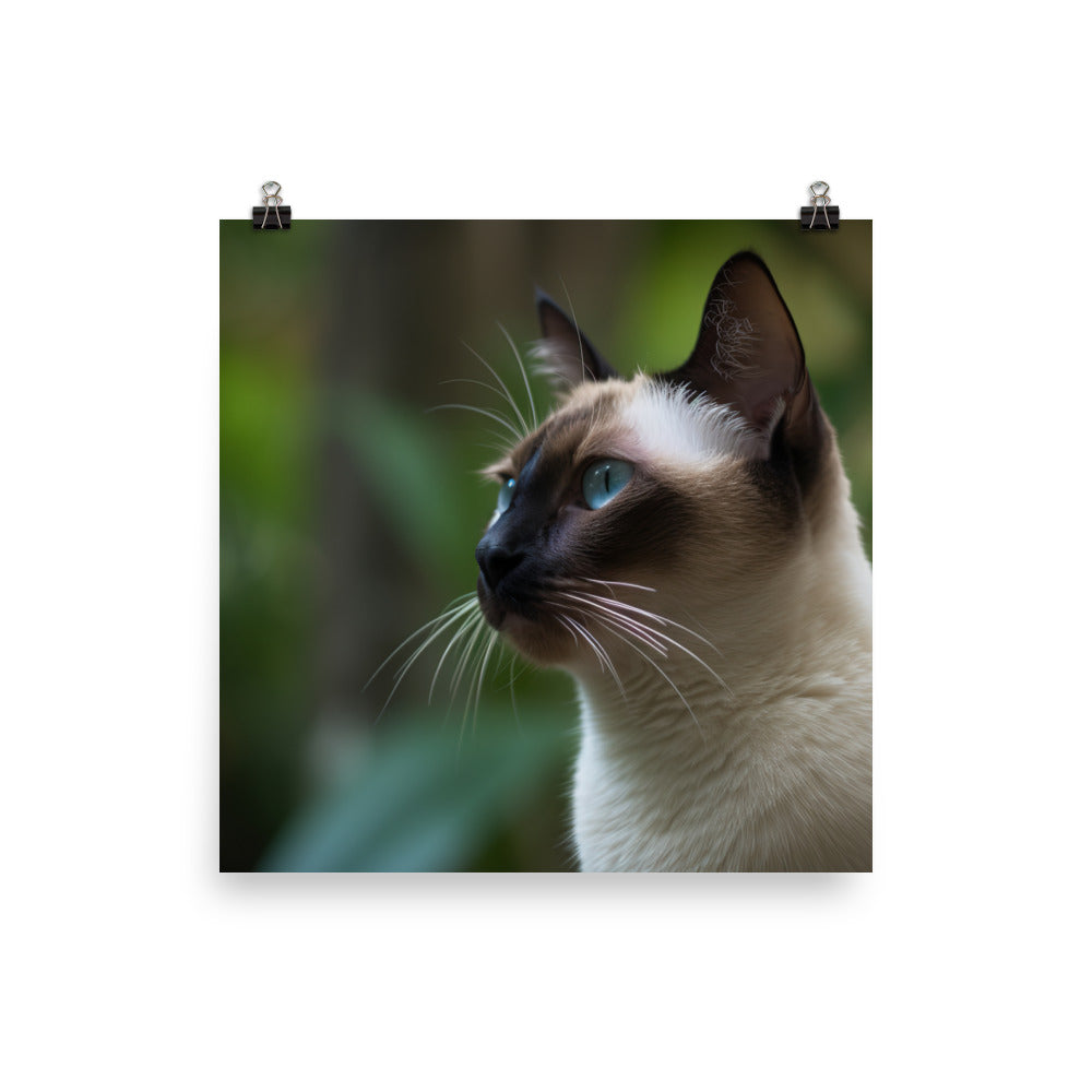 Majestic Siamese Staring into the Distance photo paper poster - Posterfy.AI