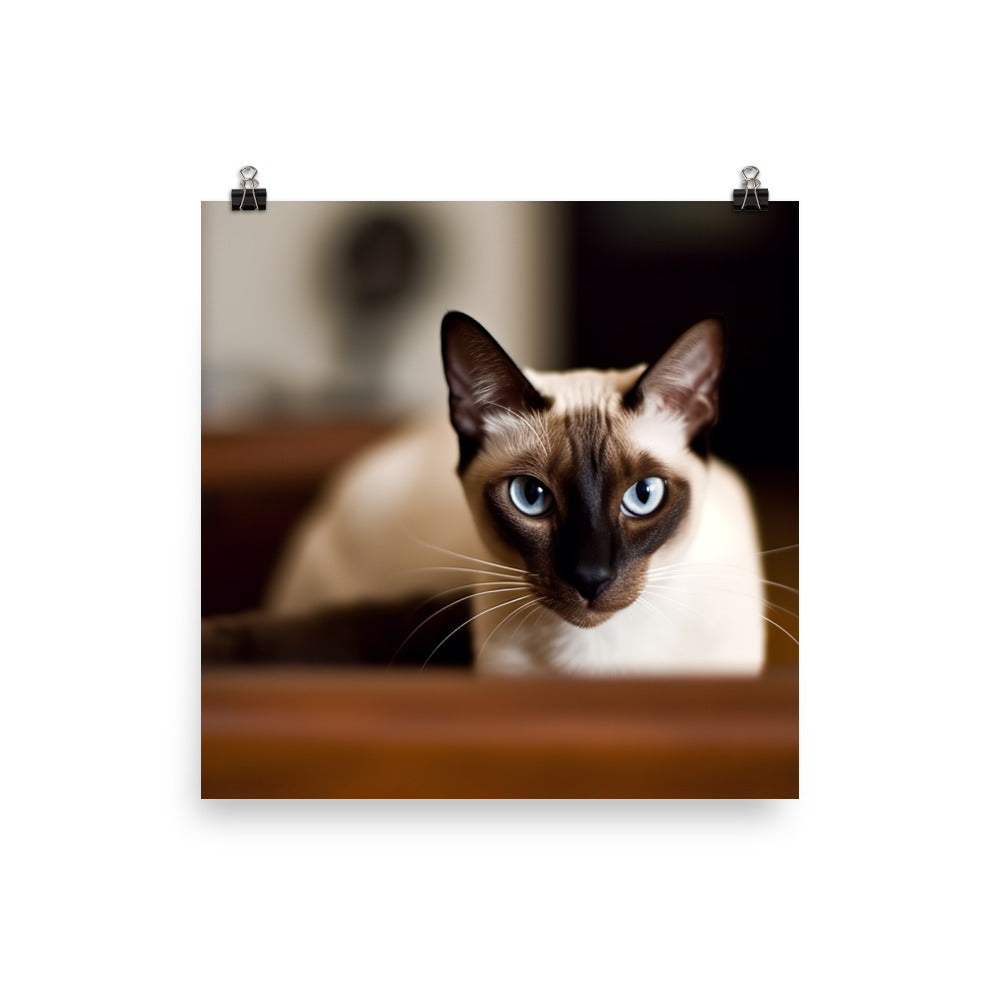 Curious Siamese Examining the Room photo paper poster - Posterfy.AI