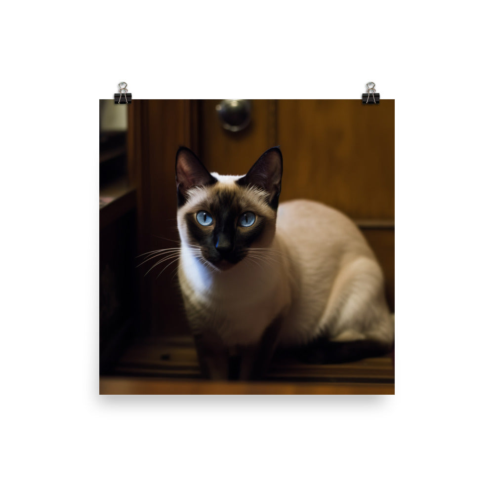 Curious Siamese Examining the Room photo paper poster - Posterfy.AI
