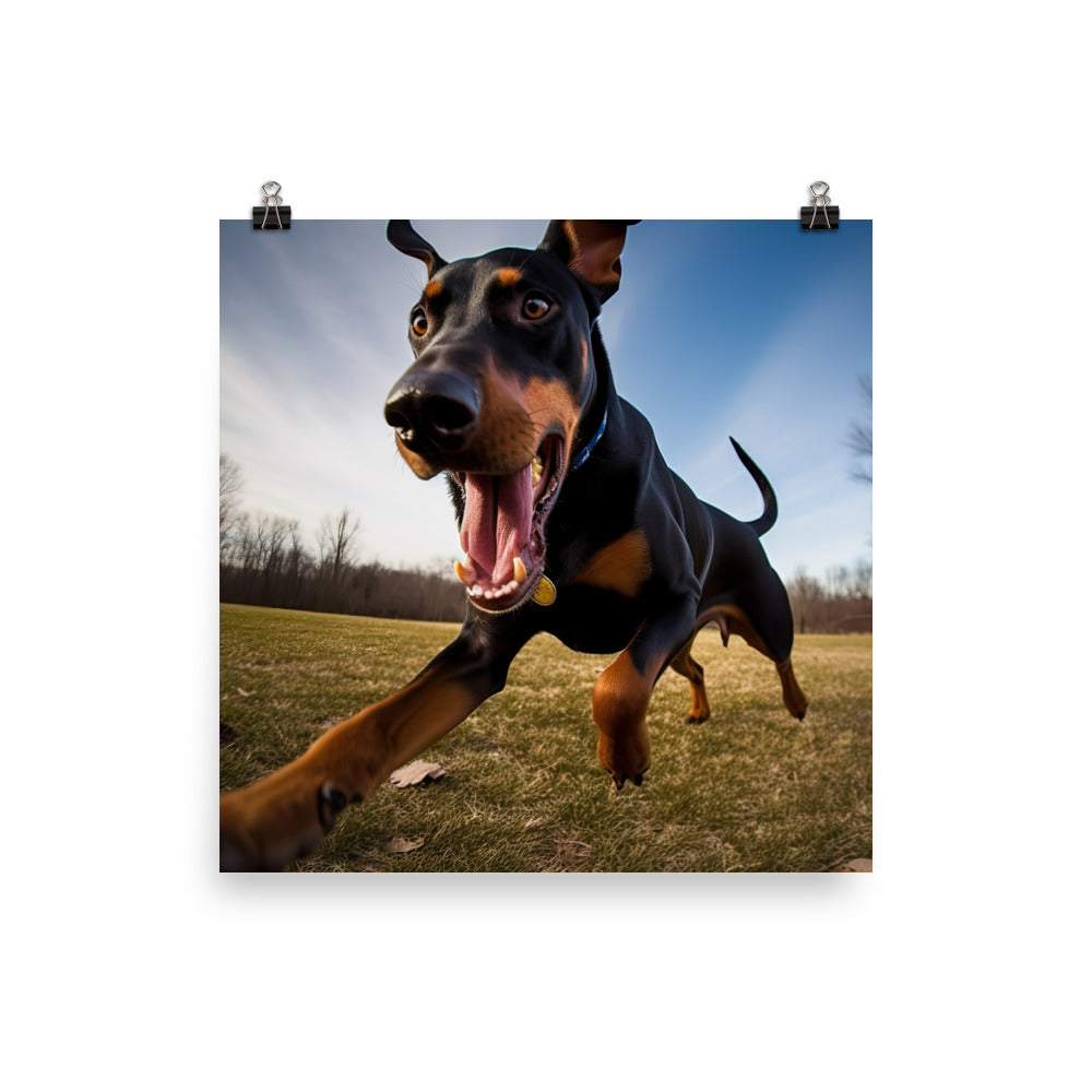 Doberman Pinschers love of running photo paper poster - Posterfy.AI