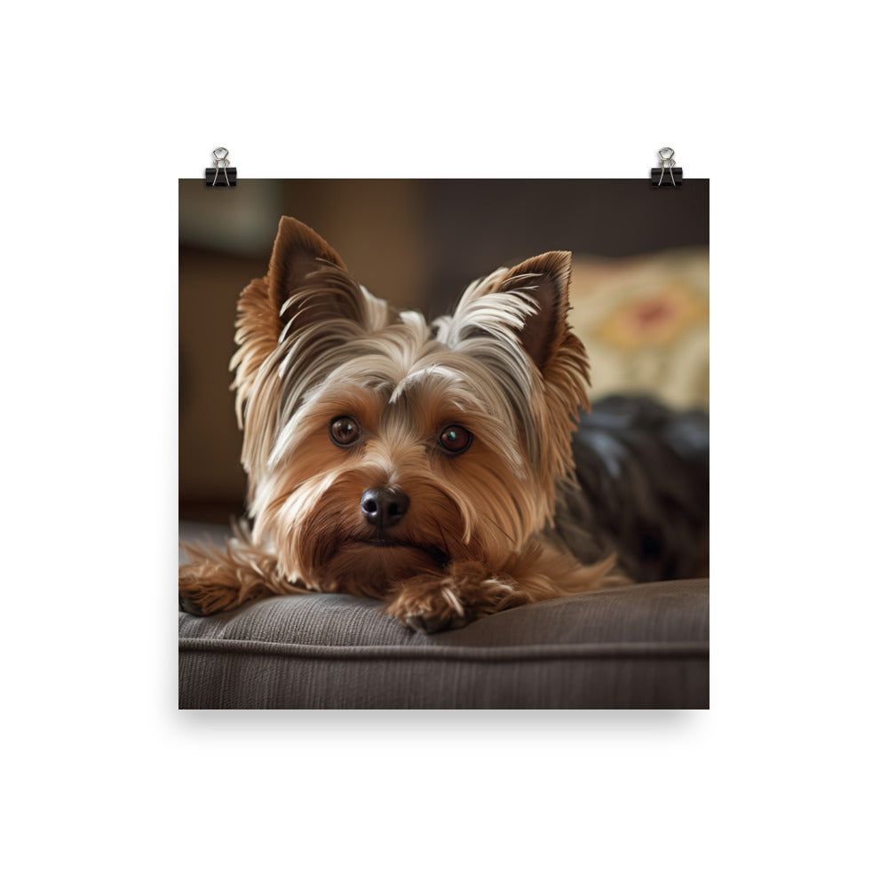 Yorkie at Home photo paper poster - Posterfy.AI