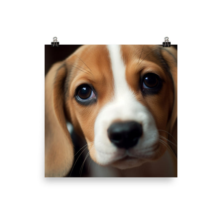 Adorable Beagle posing for the camera photo paper poster - Posterfy.AI