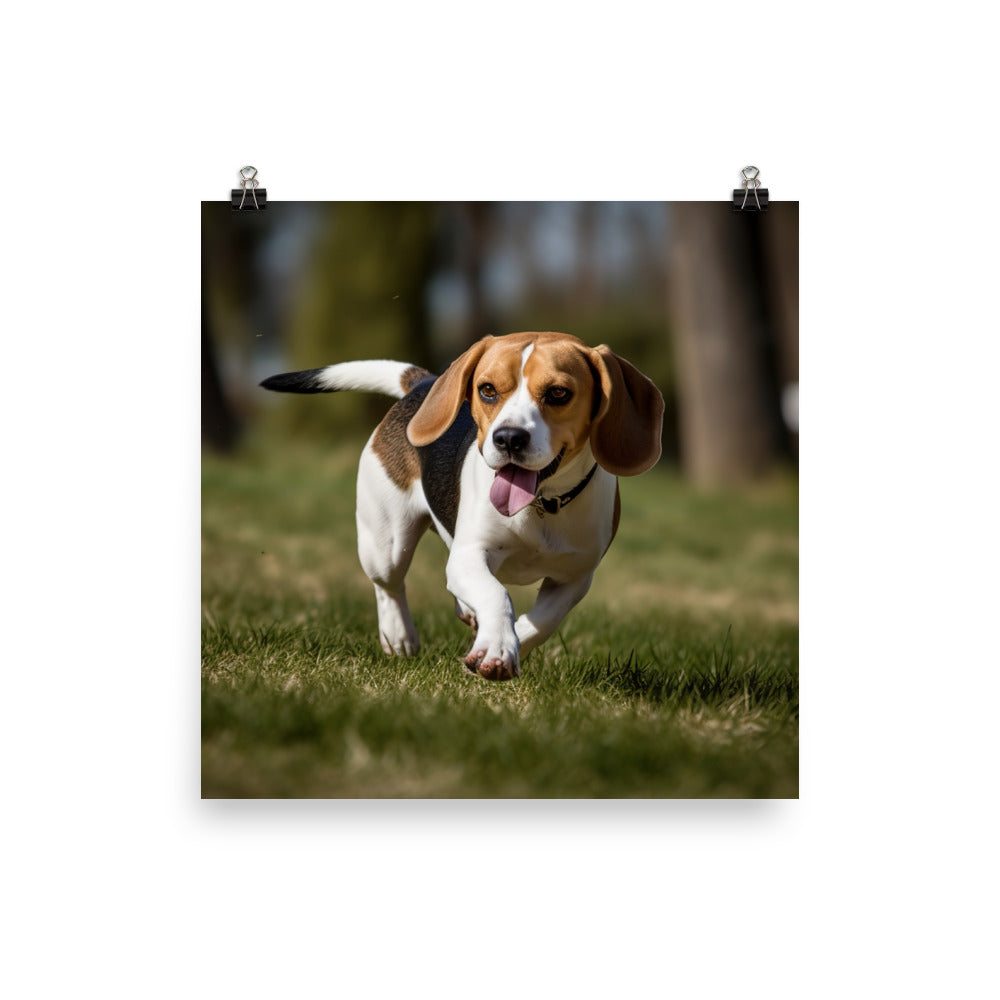 A day in the park with my Beagle photo paper poster - Posterfy.AI