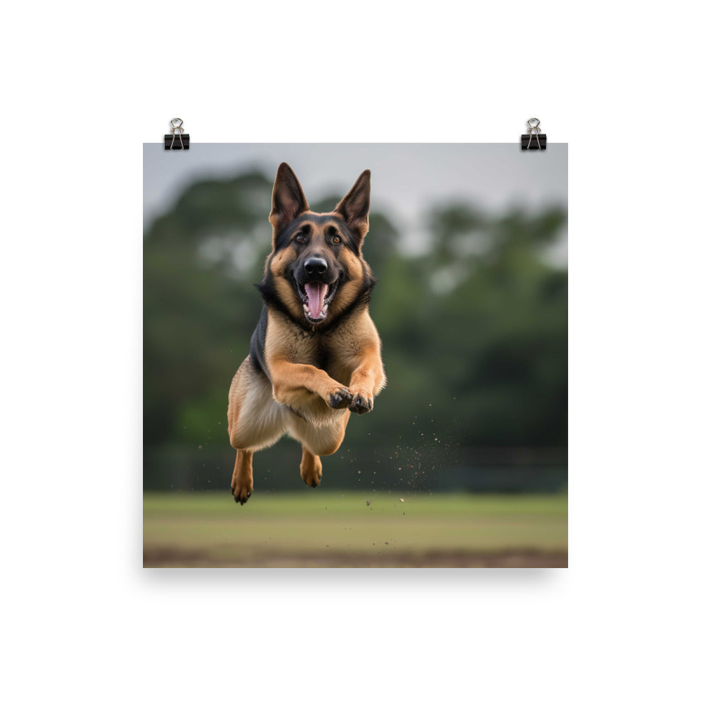 German Shepherd in action photo paper poster - Posterfy.AI