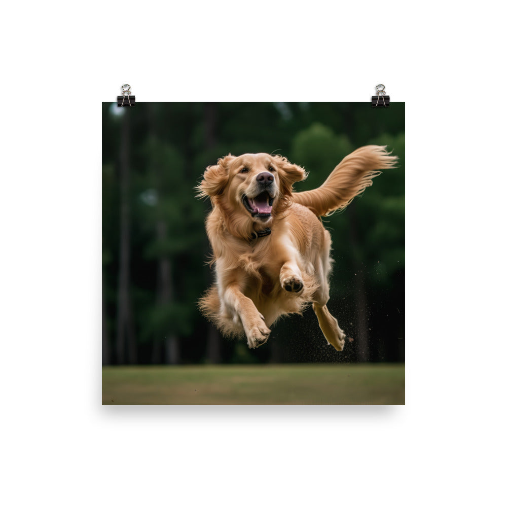 Golden retriever jumping up photo paper poster - Posterfy.AI