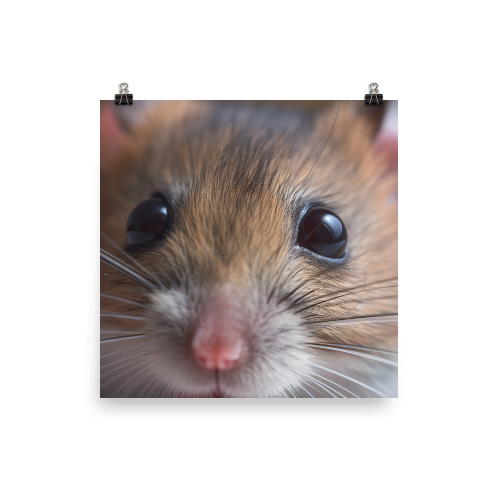 Adorable Deer Mouse Close-Up photo paper poster - Posterfy.AI