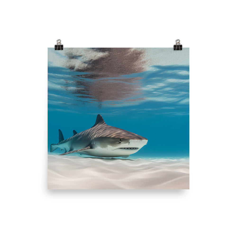 Tiger Shark swimming in crystal clear waters Photo paper poster - Posterfy.AI