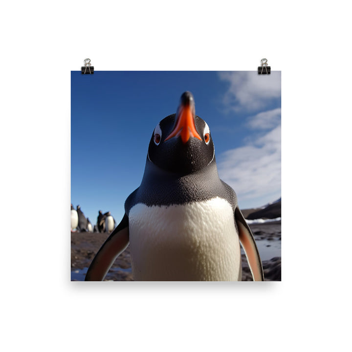 Curious Gentoo Penguin Photo paper poster - Posterfy.AI