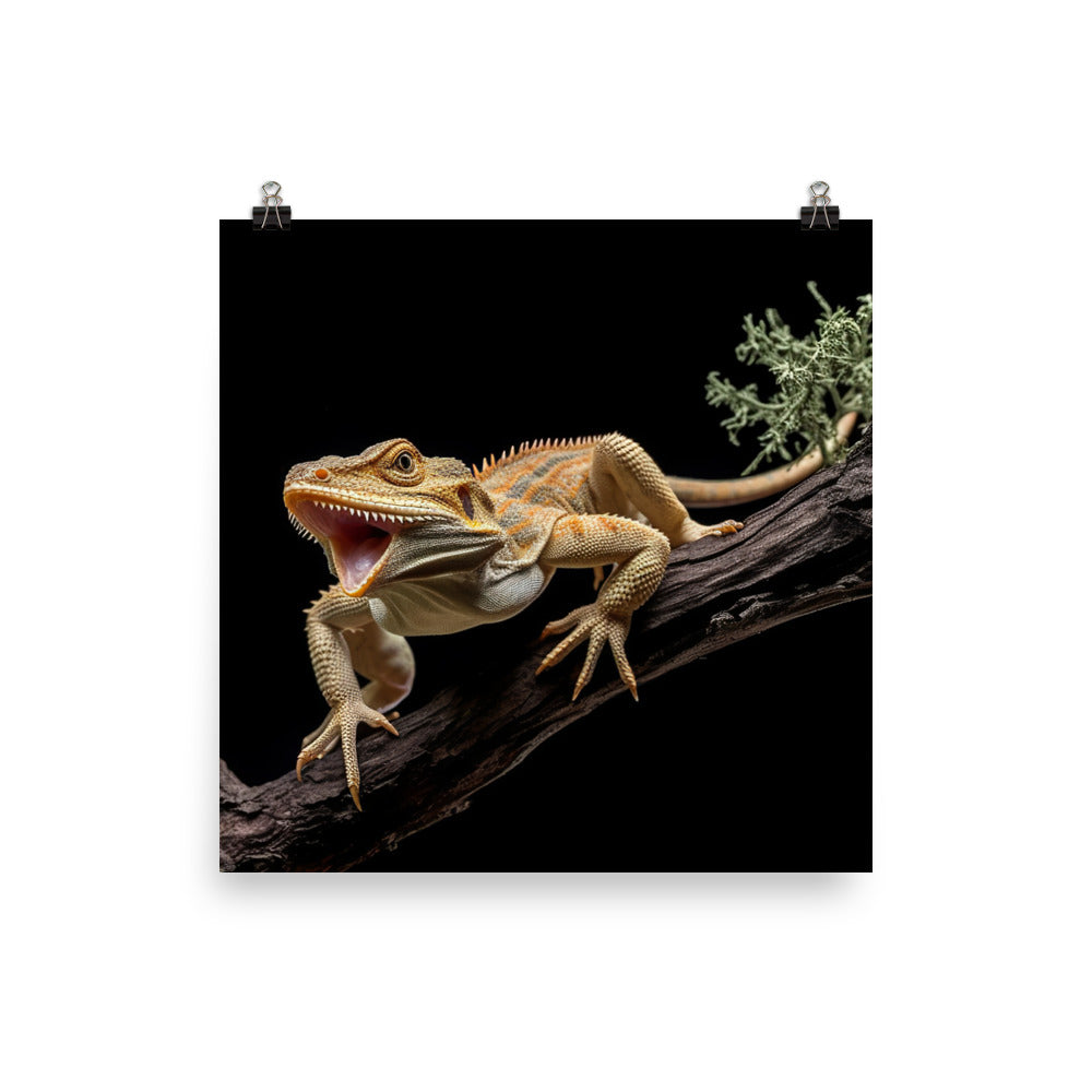 Bearded Dragon in Action photo paper poster - Posterfy.AI