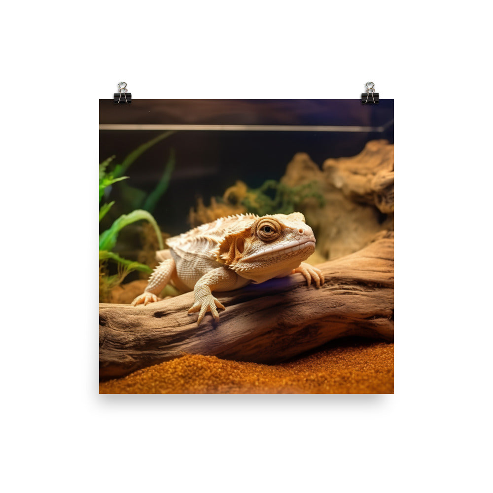 Bearded Dragon in a Terrarium photo paper poster - Posterfy.AI