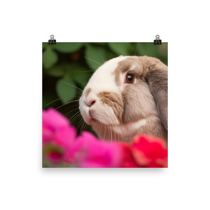 Majestic French Lop photo paper poster - Posterfy.AI