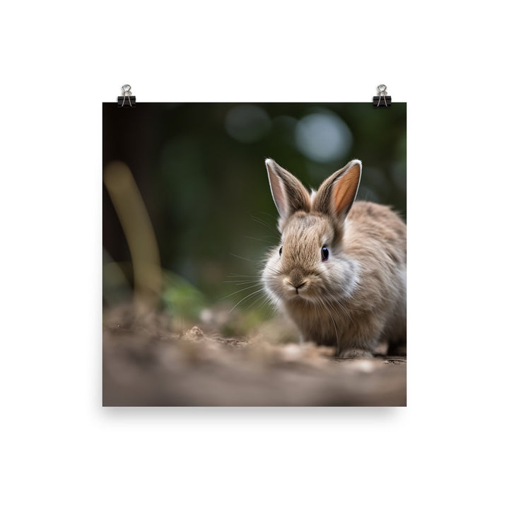 Lionhead Bunny - Curious and Playful photo paper poster - Posterfy.AI