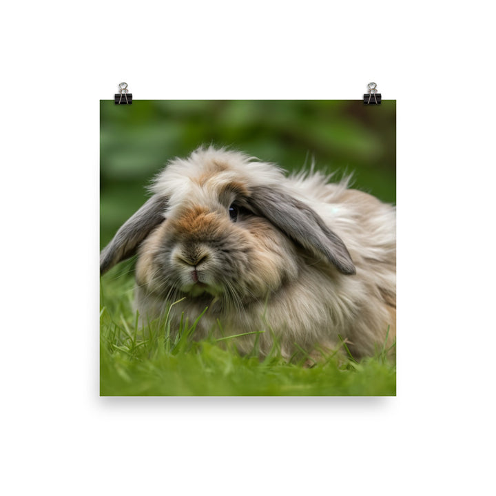 Fluffy American Fuzzy Lop photo paper poster - Posterfy.AI