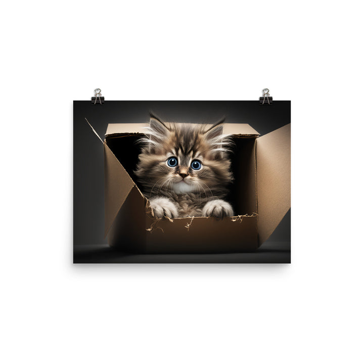 A fluffy kitten peering curiously out of a small cardboard box photo paper poster - Posterfy.AI