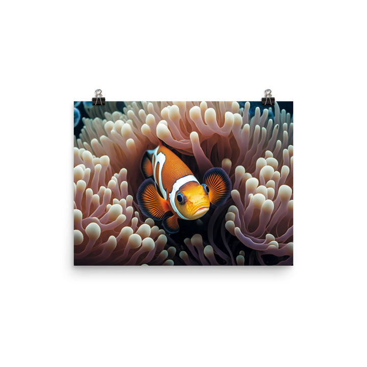 A playful clownfish swimming photo paper poster - Posterfy.AI