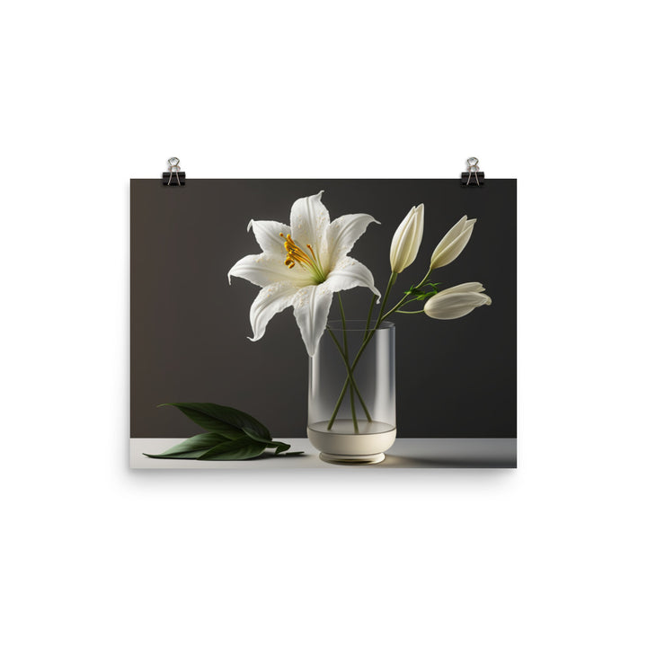Large white lily by placing it in a simple glass vase photo paper poster - Posterfy.AI